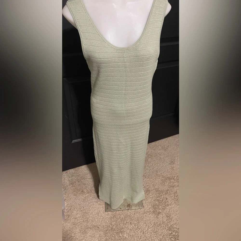Pink Rose Light Green Maxi Dress - Picture 2 of 4